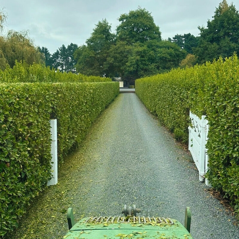CAMBRIDGE HEDGECUTTING LOGO (1200 x 300 px) (1000 x 750 px) CAMBRIDGE HEDGECUTTING LOGO (1200 x 300 px) (1000 x 750 px)