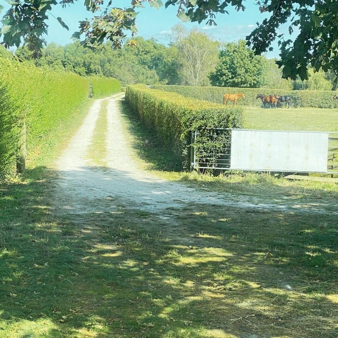 Cambridge-Hedgecutting-farm-race
