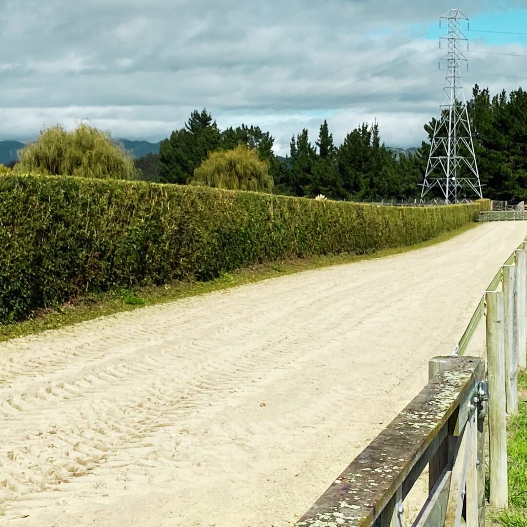 Cambridge-Hedgecutting-race