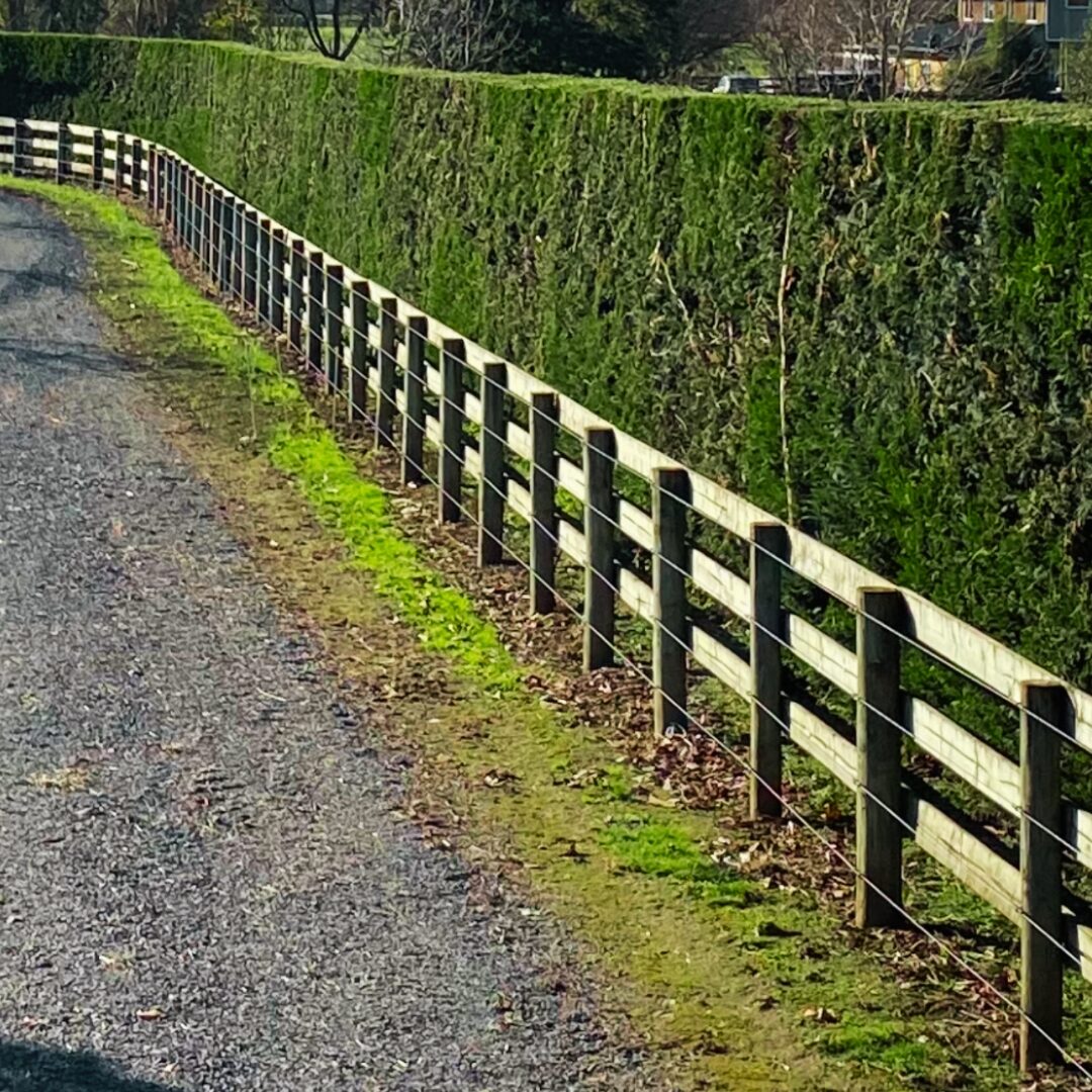 cambridge-hedgecutting-grass-shelter-belt-cutting