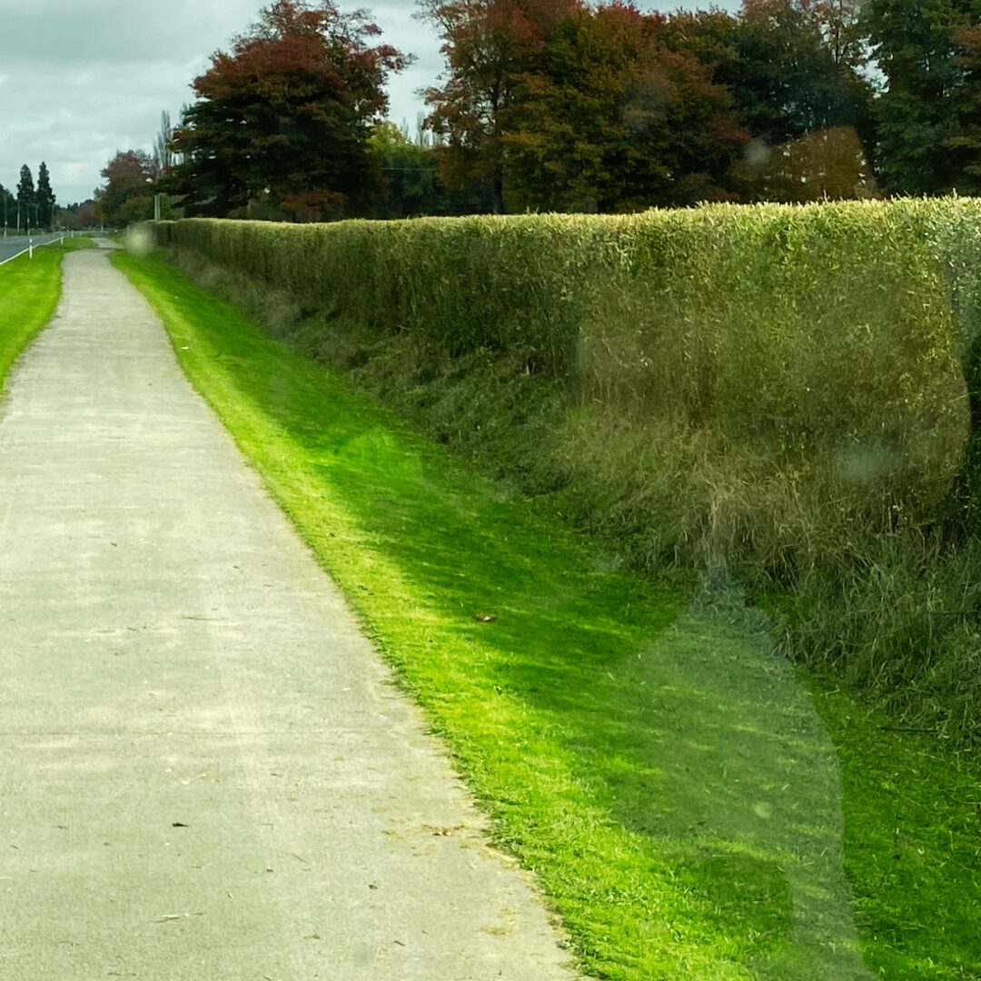 cambridge-hedgecutting-roadside-hedge-cutting